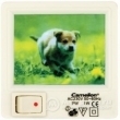 Camelion XYD-403-p007