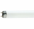 Philips TL-D G13  36W/33-640